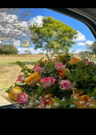 一言不发的女人最可怕